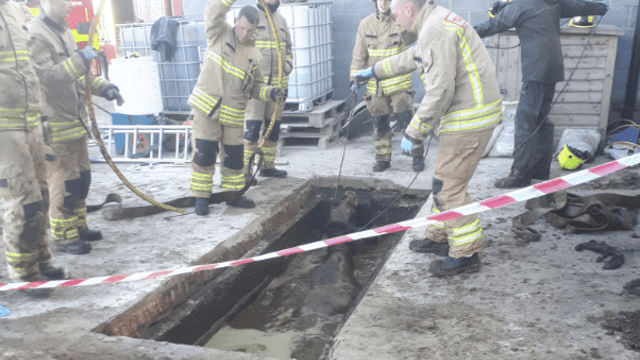 Dairy cows rescued from slurry pit in Wales