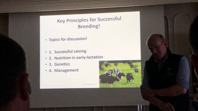 Key principles for successful dairy cattle breeding