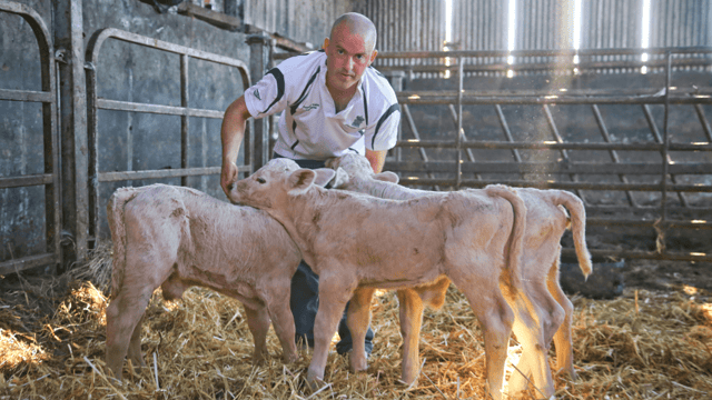 Forgotten farmers: 'It's a shame what they've done to us'