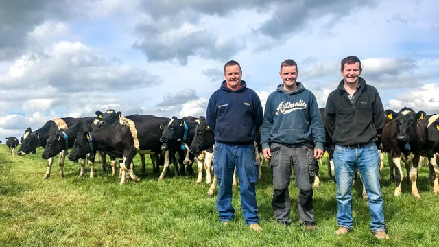Band of brothers: Why this beef farmer influenced his dairy siblings on sire selection