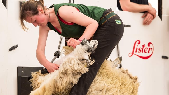 'It's all about technique': Queen of the Shears on success