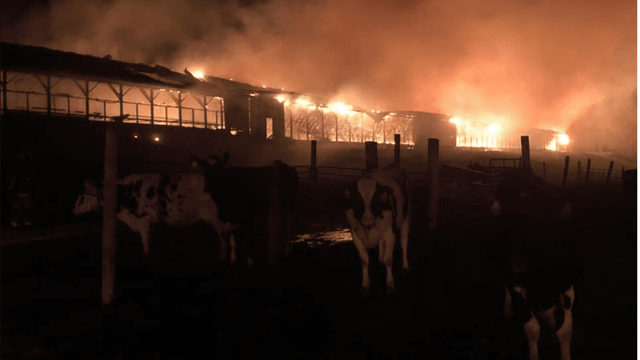 13-year-old girl charged with barn fire in Scottish Highlands