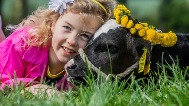 'Ambitious schedule to date' for Cork Summer Show 2019