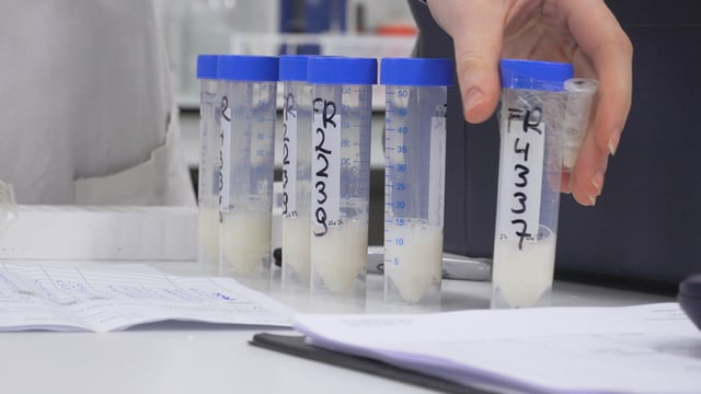 Dairy focus: Video reveals the ins and outs of fresh semen