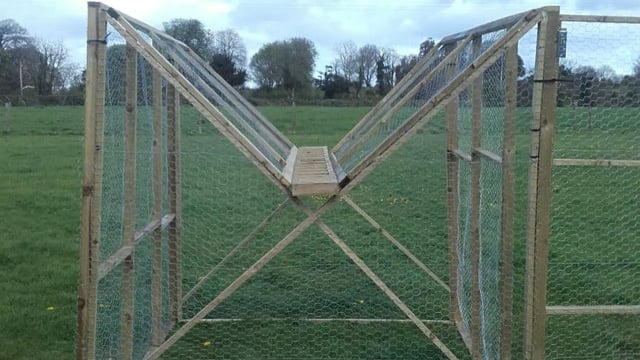 Video: Man builds crow trap to combat bird attacks on lambs