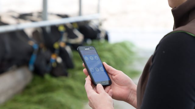 Could the MooMonitor+ be the answer to less antibiotic usage on farms?