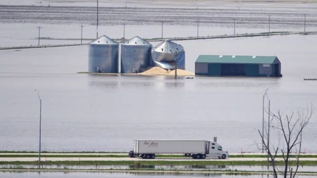 Grain price: Extreme weather in US continues to lead markets