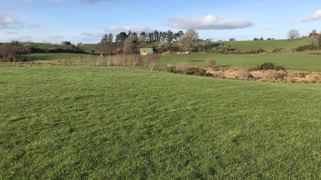 56ac holding for sale in scenic Screen, Co. Wexford