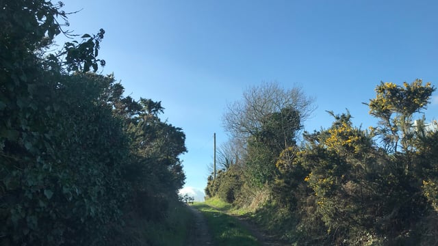 'Ireland's Future' group critical of measures in new CAP
