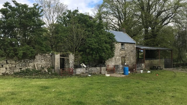Hacketstown roadside holding with derelict house for sale