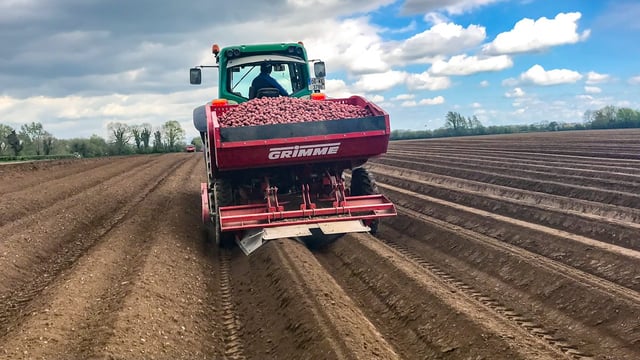 In-field sap testing recommended for high value crops
