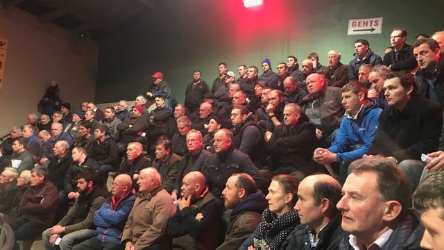 Beef Plan circulates message 'urging' members who to vote for in EU elections