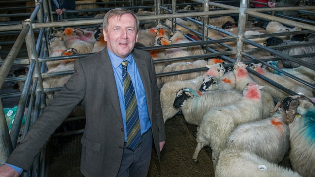 What is available to the sheep and suckler sectors to help them survive?