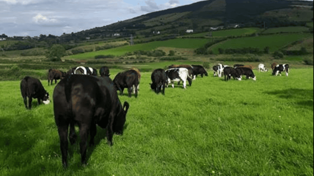 Details announced on Macra na Feirme National Conference