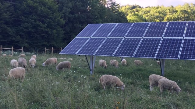 410 applications under TAMS for solar PV