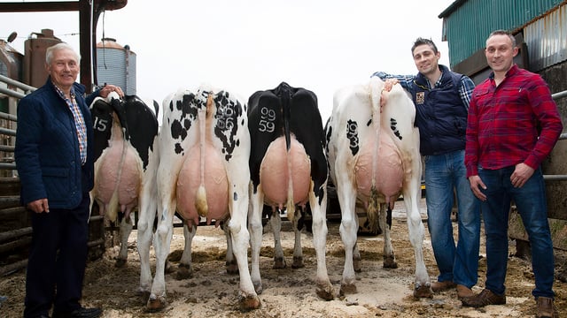 Moree herd dispersal sale to take place on Friday as Kelso brothers end partnership