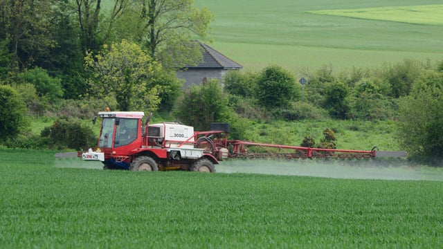 Wheat and barley fungicides all due in the coming days