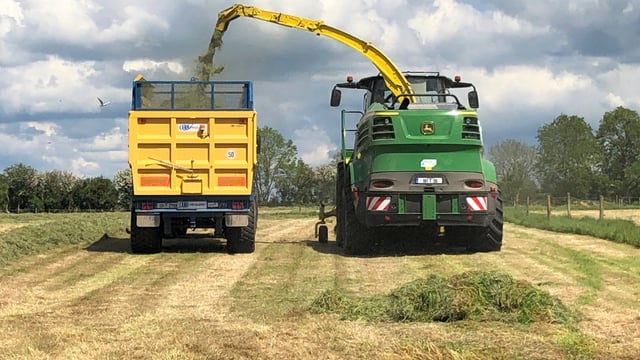 Maximising the quality of first-cut silage