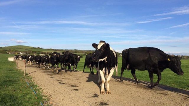 Glanbia 'respects decision' of Greenfield owners to exit project