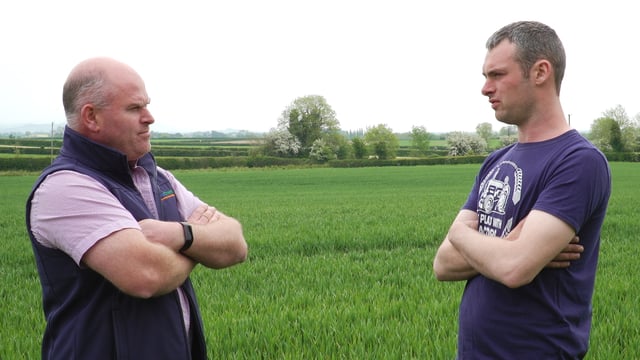 CROPS WATCH: Reducing fungicides, housing bees and keeping plants healthy