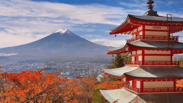 Improved market access to Japan for Irish beef confirmed