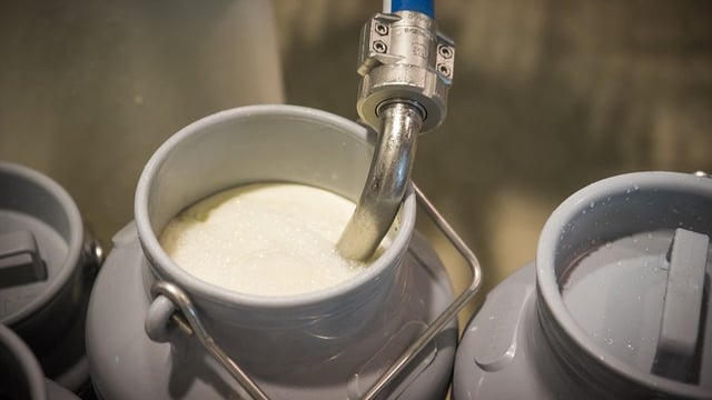 Dairy firms plan to capitalise on vegan and flexitarian trends in Europe