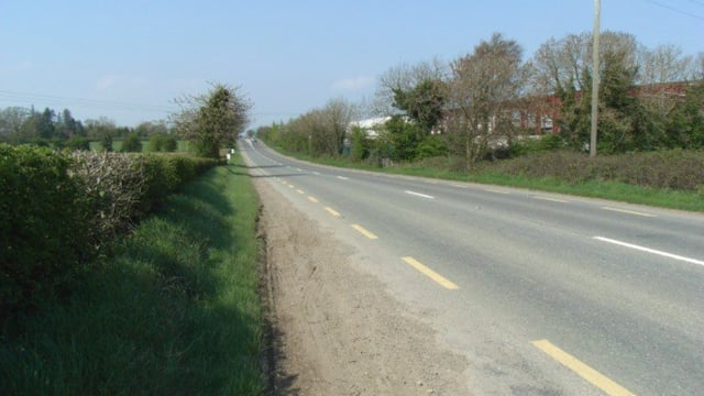 Gardaí seek owner of loose cattle on road causing crash