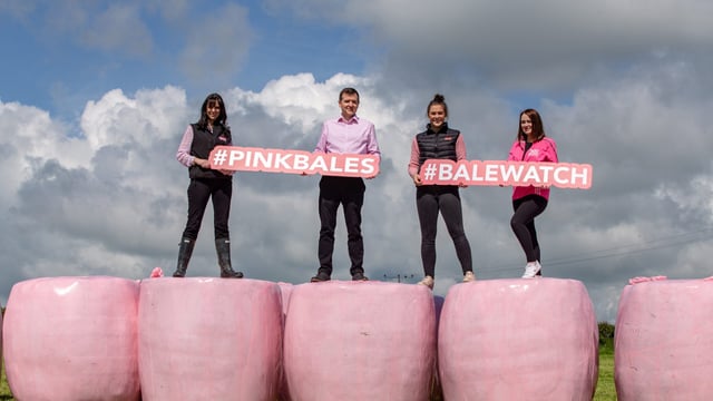 Limited-edition pink silage wrap on sale for Breast Cancer Ireland research