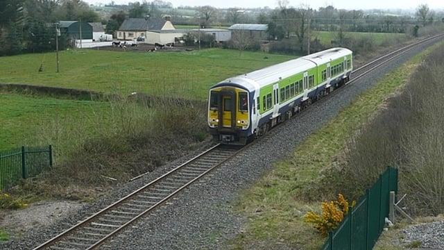 Trains delayed with blocked route due to cattle on line