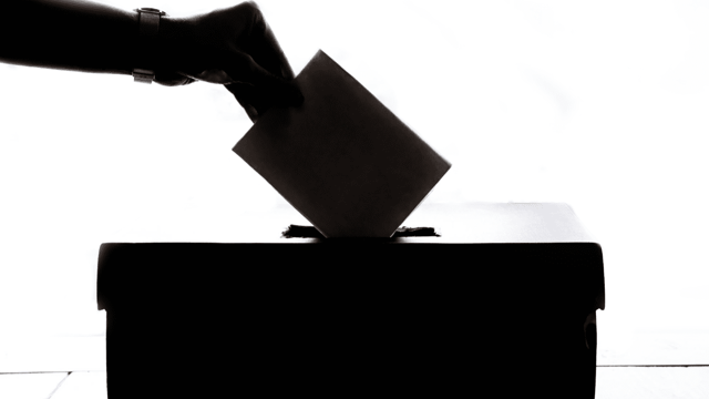 How did the biggest agricultural states vote in the US election?