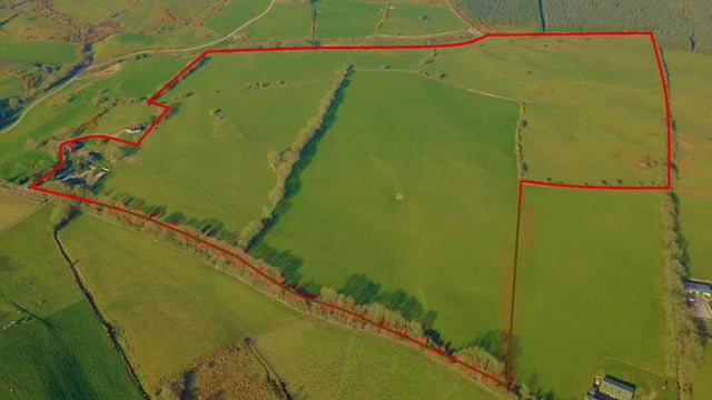 Kilbaylet land 'suited to all types of farming' for sale in lots