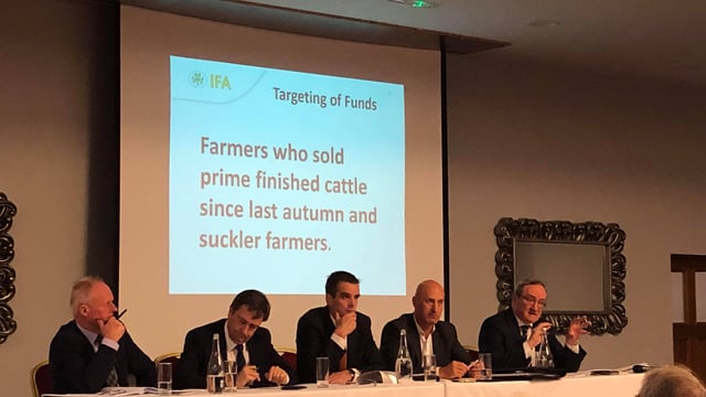 Reference dates for €100 million beef support fund submission explained