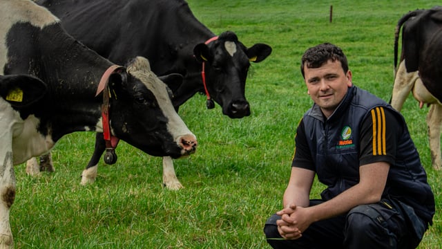Young dairy farmer set to lose 14ac to new N5 route in Co. Roscommon