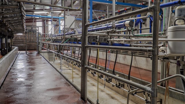 It could be about time to change those milk liners...
