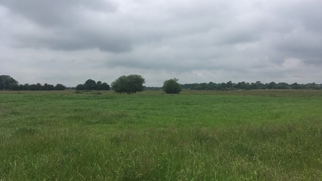 Compensation package on the table for farmers impacted by SAC designation