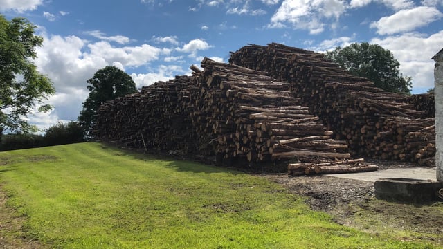 Forestry licence backlog must be 'top priority' for department - IFA