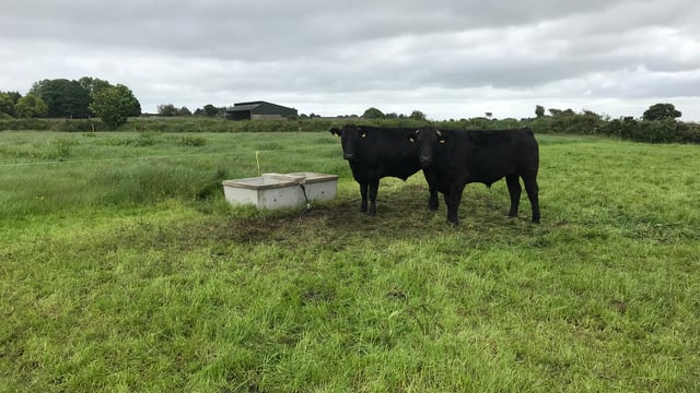 Changing strategy and putting a plan in place in Co. Mayo