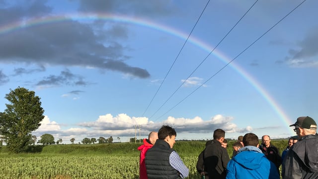 Tillage focus: Conserving the soil and time in Co. Carlow