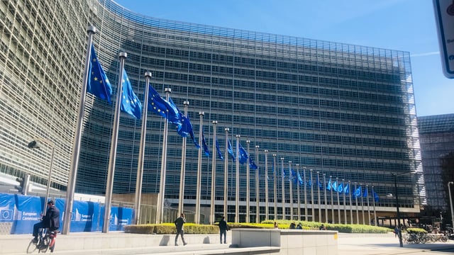 ECA: Some farmers overcompensated by EU pandemic aid