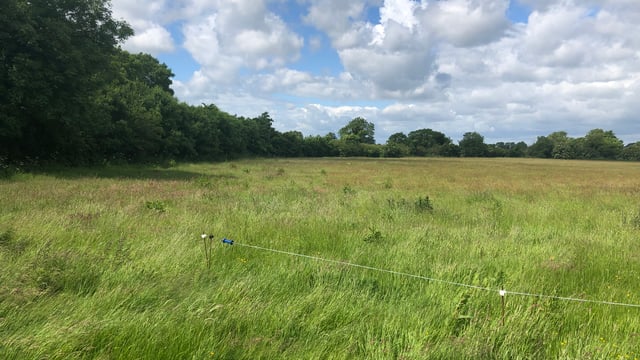 28ac Prosperous 'good quality land' for auction