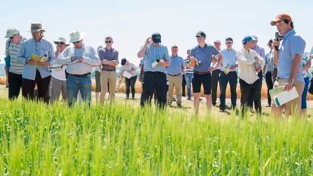 June...a month to see new advances in the tillage fields