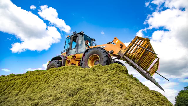 FCI members to close yards from today until further notice