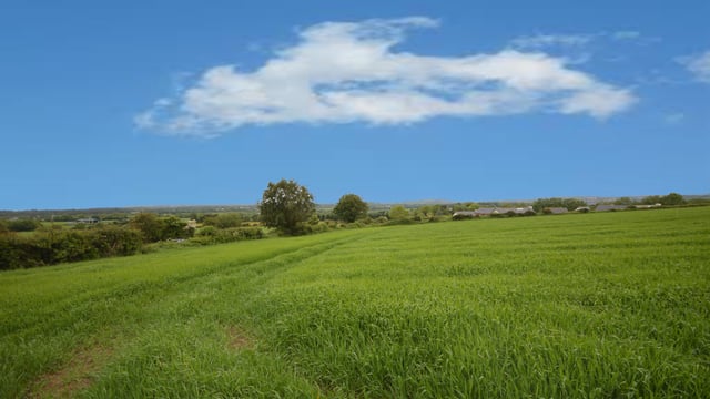 Weather to return to largely dry and settled conditions