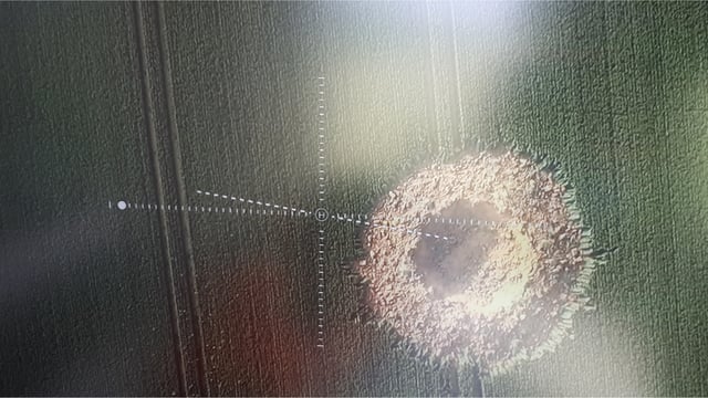 World War II bomb explodes in field - leaving 10m crater