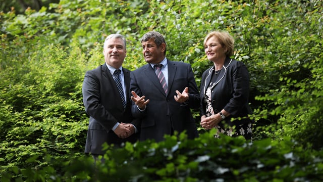 Coillte launches new 'branch' with an alternative focus
