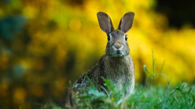 Farmers urged to apply to NPWS farm scheme
