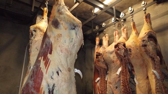 Gallery: Traditional Irish abattoir to go under the hammer in Co. Offaly