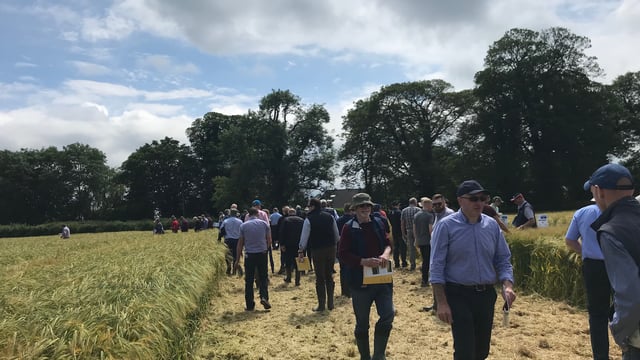 Seed trade shows off new varieties...what's available?