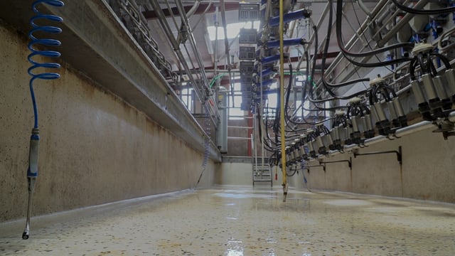 Milk prices: 'Vital' processors pass value in market back to farmers
