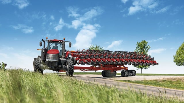 Grain price: Global wheat supplies forecast to increase by 50 million tonnes